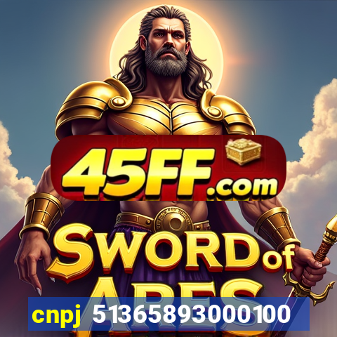 cnpj 51365893000100